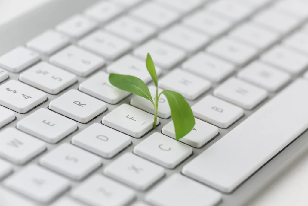Éco-conception web : pourquoi y penser dès la création du site ?